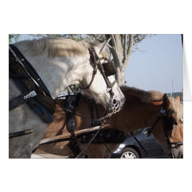 Chevaux dans le harnais (Devant horizontal)