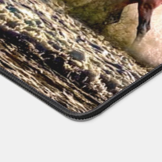 CHEVAUX dans le SURF (Coin)