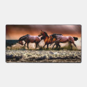 CHEVAUX dans le SURF (Recto)