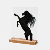 Chevaux dans les nuages (Angle)