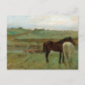 Chevaux dans une prairie Edgar Degas Carte postale (Devant)