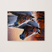 Chevaux De Brumby Brown Et Blanc, Puzzle De Jigsaw (Horizontal)