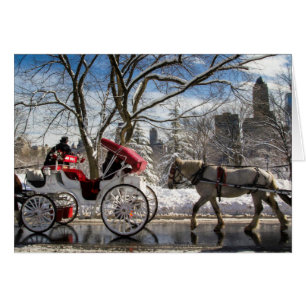 Chevaux de chariot d'hiver dans le Central Park