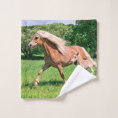 Chevaux de Haflinger avec de mignons poulains Cour (Gant de toilette)