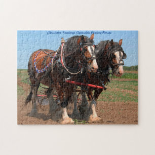 Chevaux de labour Clydesdale. Puzzle