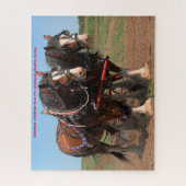 Chevaux de labour Clydesdale. Puzzle (Vertical)