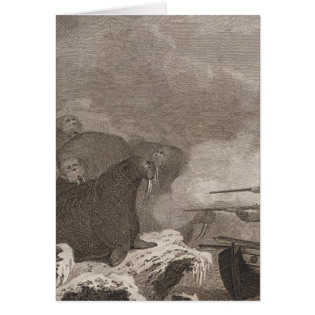 Chevaux de mer (Devant)