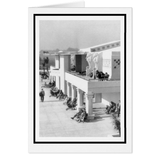 Chevaux de mer au Sarasota Lido Beach Casino (Devant)