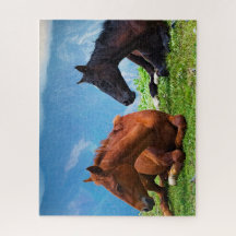 Chevaux de Moody Mountain : Un puzzle de voyage d'