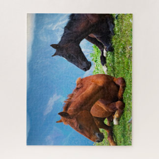 Chevaux de Moody Mountain : Un puzzle de voyage d'