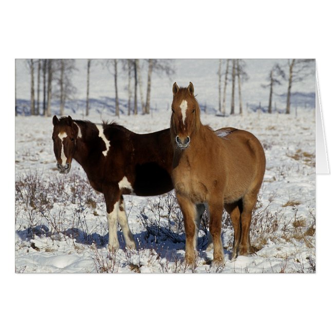 Chevaux de peinture dans la neige (Devant horizontal)