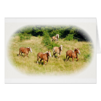 Chevaux de trait dans le domaine