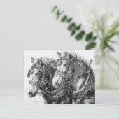 Chevaux de trait dessin carte postale (Debout devant)