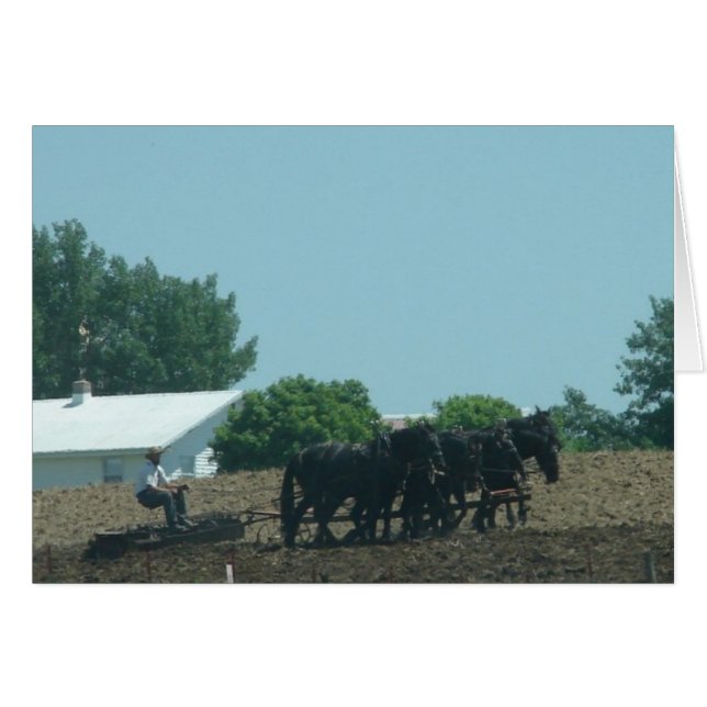 Chevaux de travail (Devant horizontal)