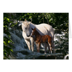 Chevaux d'imaginaire : Cascade