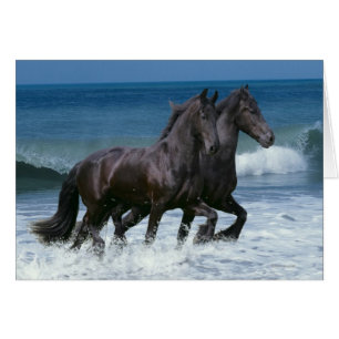 Chevaux d'imaginaire : Frisons et mer