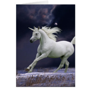 Chevaux d'imaginaire : Licorne