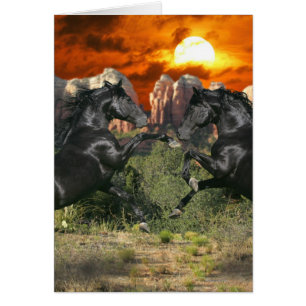 Chevaux d'imaginaire : Magie noire