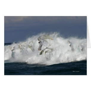 Chevaux d'imaginaire : Mer