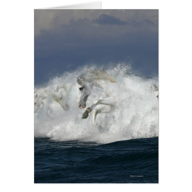 Chevaux d'Imaginaire : Mer (Devant)