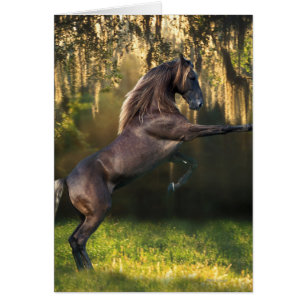 Chevaux d'imaginaire : Prince de guerrier