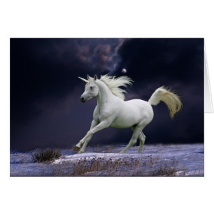 Chevaux d'Imaginaire : Unicorne