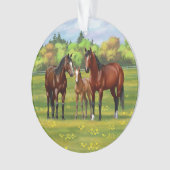 Chevaux Du Quartier De La Baie Brown Dans Les Pâtu (devant)