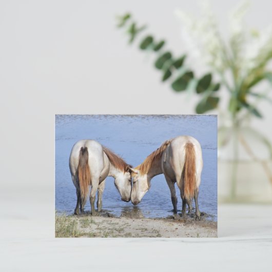 CHEVAUX EN CARTE POSTALE AMOUREUSE (Debout devant)