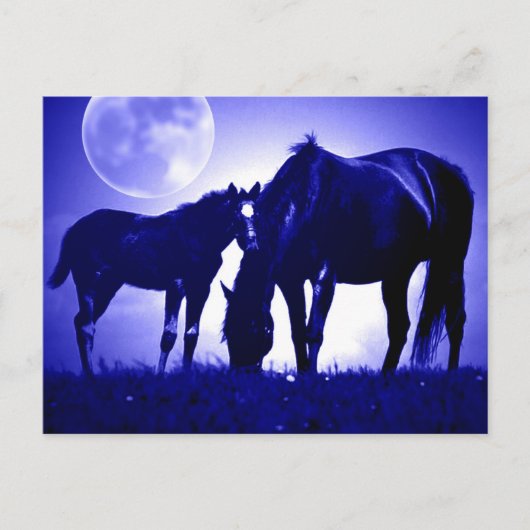 Chevaux en Cartes Postales Bleues Nuit (Devant)