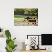 Chevaux en cheval Pâturage photographie poster art (Bureau à domicile)