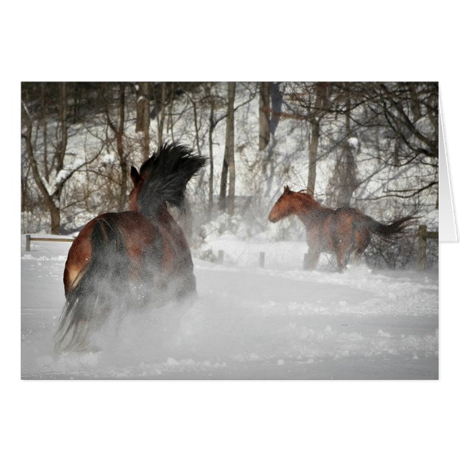Chevaux en cours sur la carte à neige personnalisa (Devant Horizontal)
