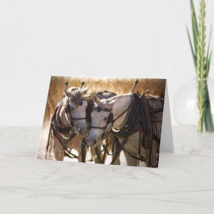 Chevaux en Harnais Carte de voeux