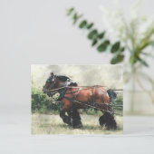 Chevaux en harnais carte postale (Debout devant)