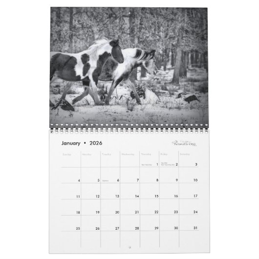 Chevaux en noir et blanc - Calendrier équin 2021 (Jan 2026)