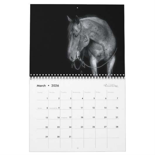 Chevaux en noir et blanc - Calendrier équin 2021 (Mar 2026)