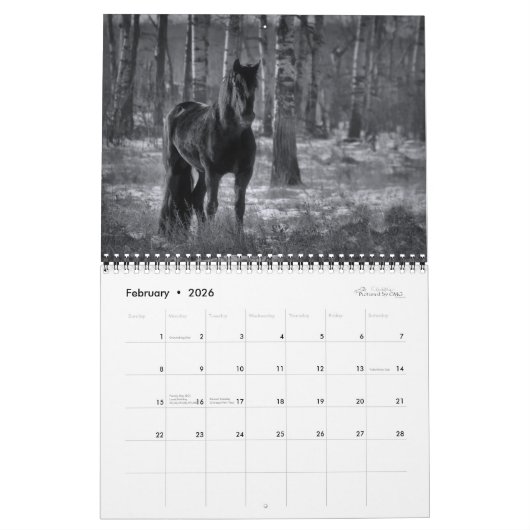 Chevaux en noir et blanc - Calendrier équin 2021 (Feb 2026)