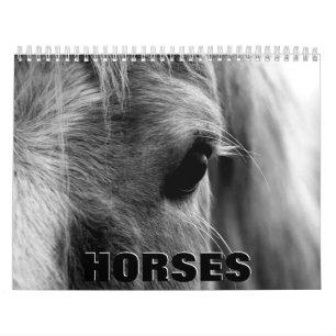 Chevaux en noir et blanc Calendrier mural 2022