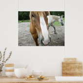 Chevaux en Ocala, Florida Art Poster (Cuisine)