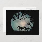 Chevaux en pleine lune Carte postale (Devant / Derrière)