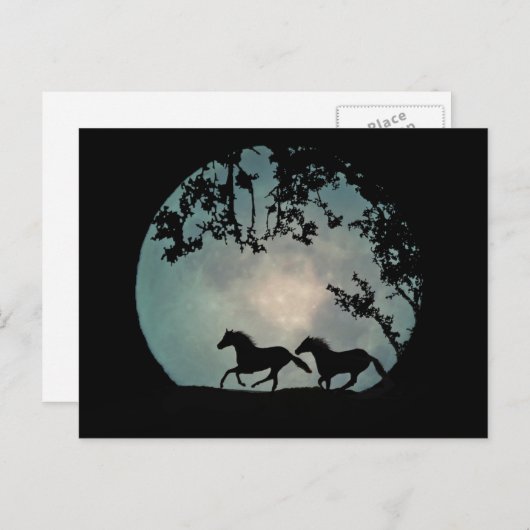 Chevaux en pleine lune Carte postale (Devant / Derrière)