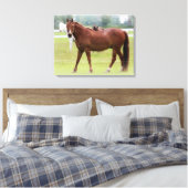Chevaux/enveloppement de toile (Insitu(Chambre))