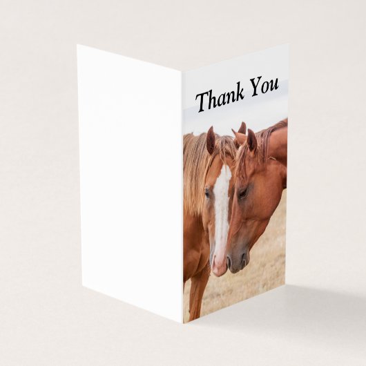 Chevaux étourdissant dans un pâturage (Outside)