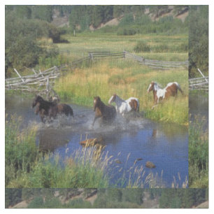 Chevaux fonctionnant par le tissu de l'eau