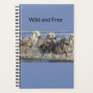 Chevaux galopant dans l'eau