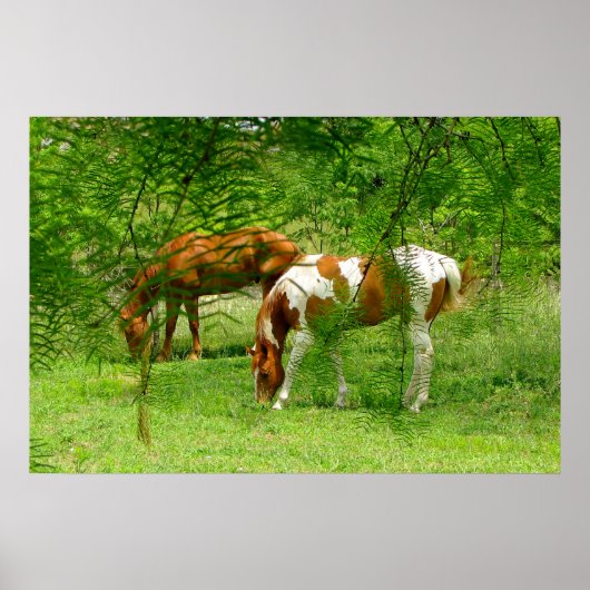 Chevaux Green Feuilles 11 x 85 Poster (Devant)