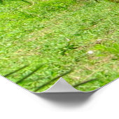 Chevaux Green Feuilles 11 x 85 Poster (Coin)