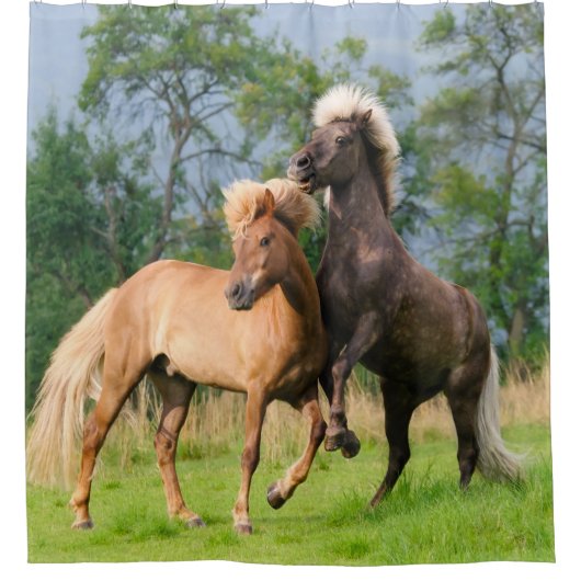 Chevaux islandais élevant rideau de douche (Devant)