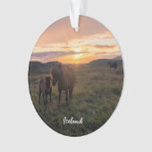 Chevaux islandais - ornement céramique (devant)