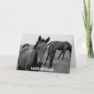CHEVAUX JEUX anniversaire conception carte