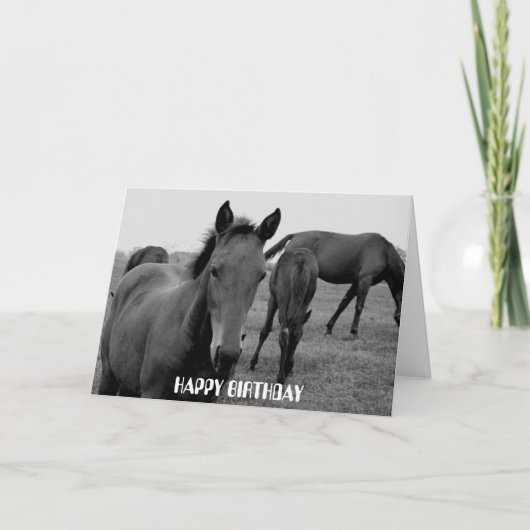 CHEVAUX JEUX anniversaire conception de carte (Devant)